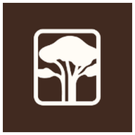 Cambium
