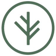 Branch